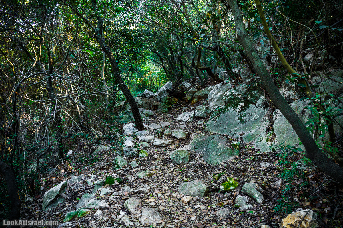 Гора Бетах и тропа Нормана | Betah mount and Norman's Trail | הר בטח ושביל נורמן | LookAtIsrael.com - Фото путешествия по Израилю