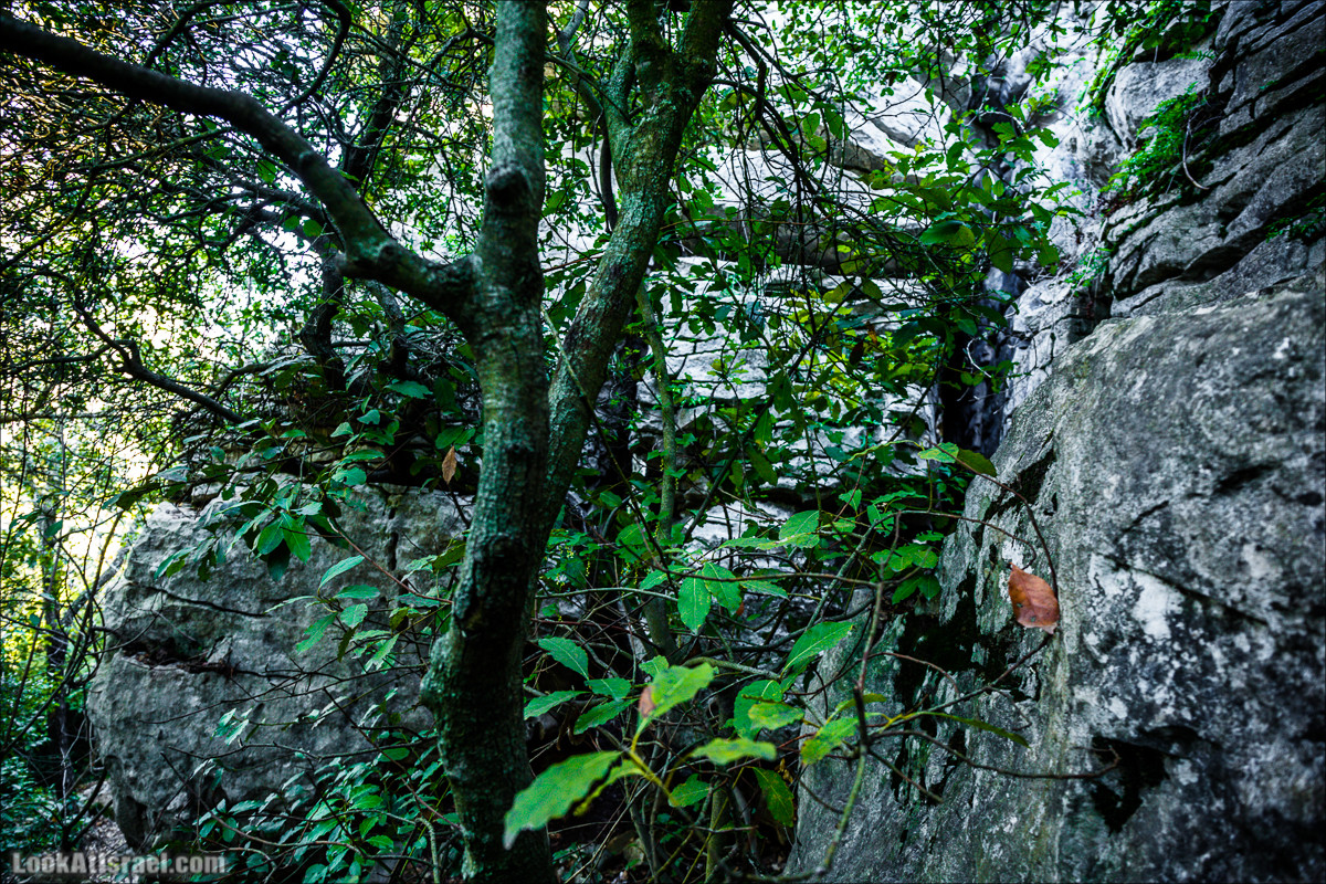 Гора Бетах и тропа Нормана | Betah mount and Norman's Trail | הר בטח ושביל נורמן | LookAtIsrael.com - Фото путешествия по Израилю