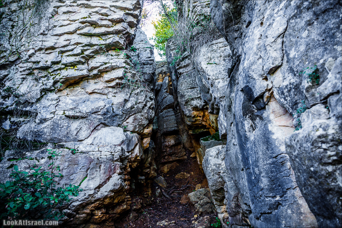 Гора Бетах и тропа Нормана | Betah mount and Norman's Trail | הר בטח ושביל נורמן | LookAtIsrael.com - Фото путешествия по Израилю