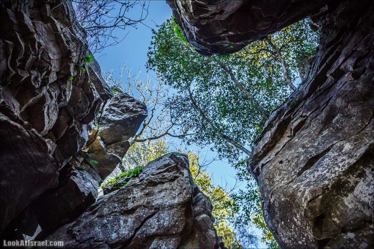 Гора Бетах и тропа Нормана | Betah mount and Norman's Trail | הר בטח ושביל נורמן | LookAtIsrael.com - Фото путешествия по Израилю