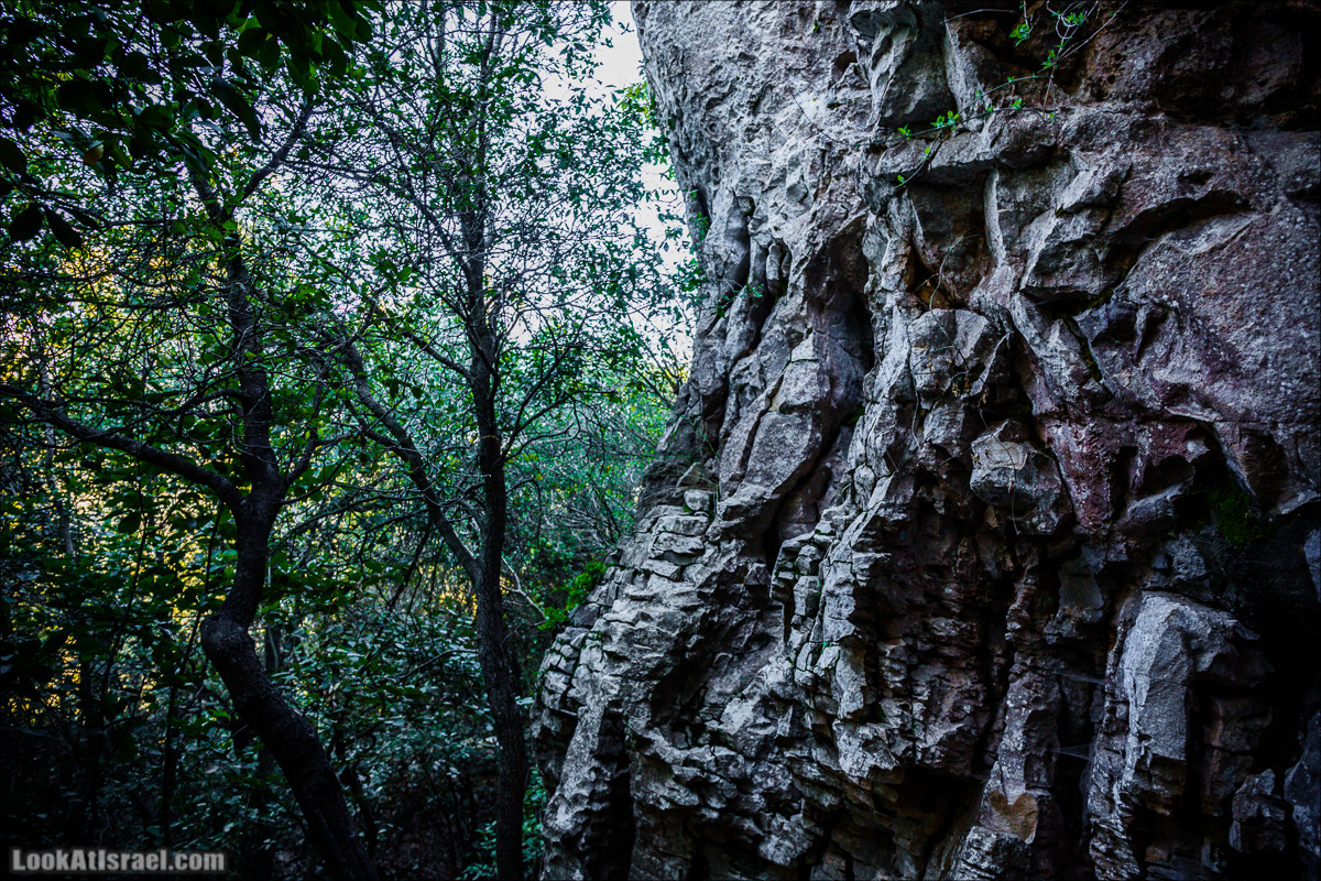Гора Бетах и тропа Нормана | Betah mount and Norman's Trail | הר בטח ושביל נורמן | LookAtIsrael.com - Фото путешествия по Израилю