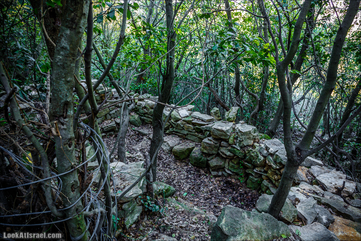 Гора Бетах и тропа Нормана | Betah mount and Norman's Trail | הר בטח ושביל נורמן | LookAtIsrael.com - Фото путешествия по Израилю