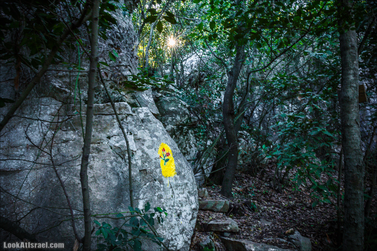 Гора Бетах и тропа Нормана | Betah mount and Norman's Trail | הר בטח ושביל נורמן | LookAtIsrael.com - Фото путешествия по Израилю