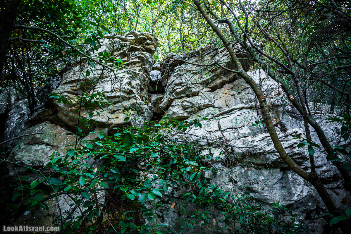 Гора Бетах и тропа Нормана | Betah mount and Norman's Trail | הר בטח ושביל נורמן | LookAtIsrael.com - Фото путешествия по Израилю