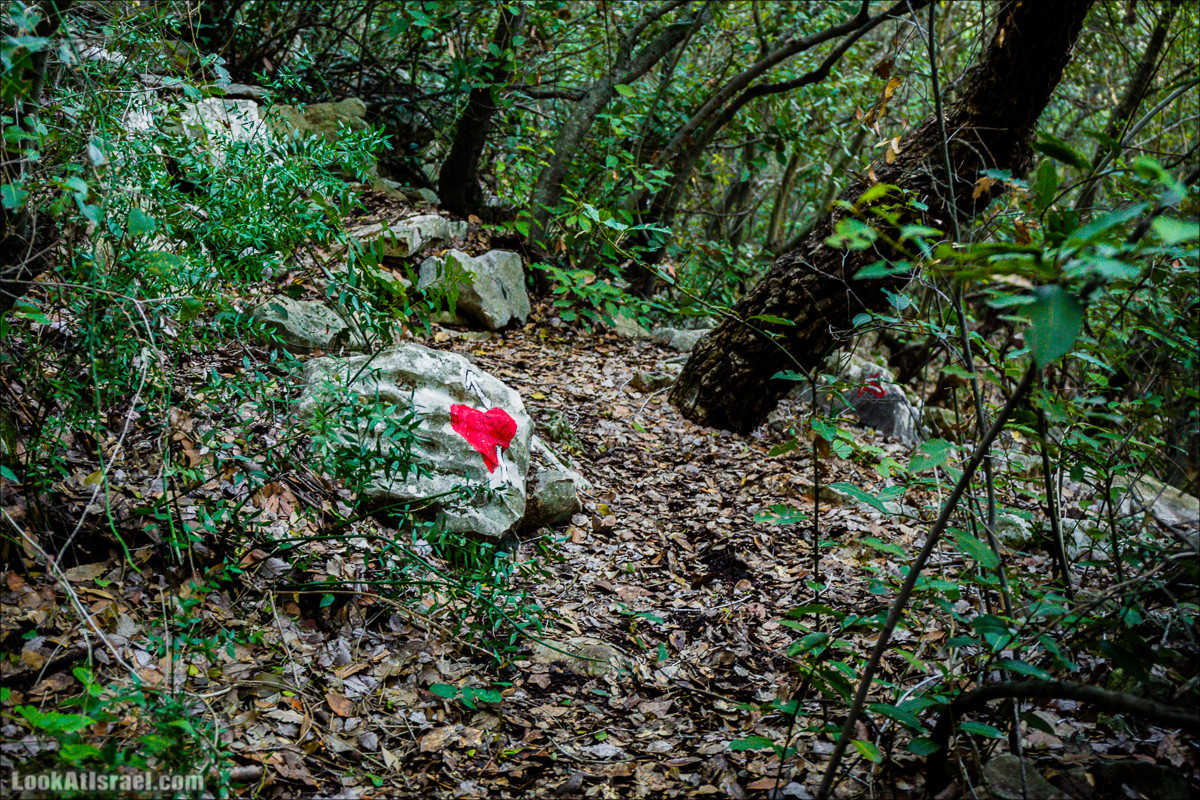 Гора Бетах и тропа Нормана | Betah mount and Norman's Trail | הר בטח ושביל נורמן | LookAtIsrael.com - Фото путешествия по Израилю