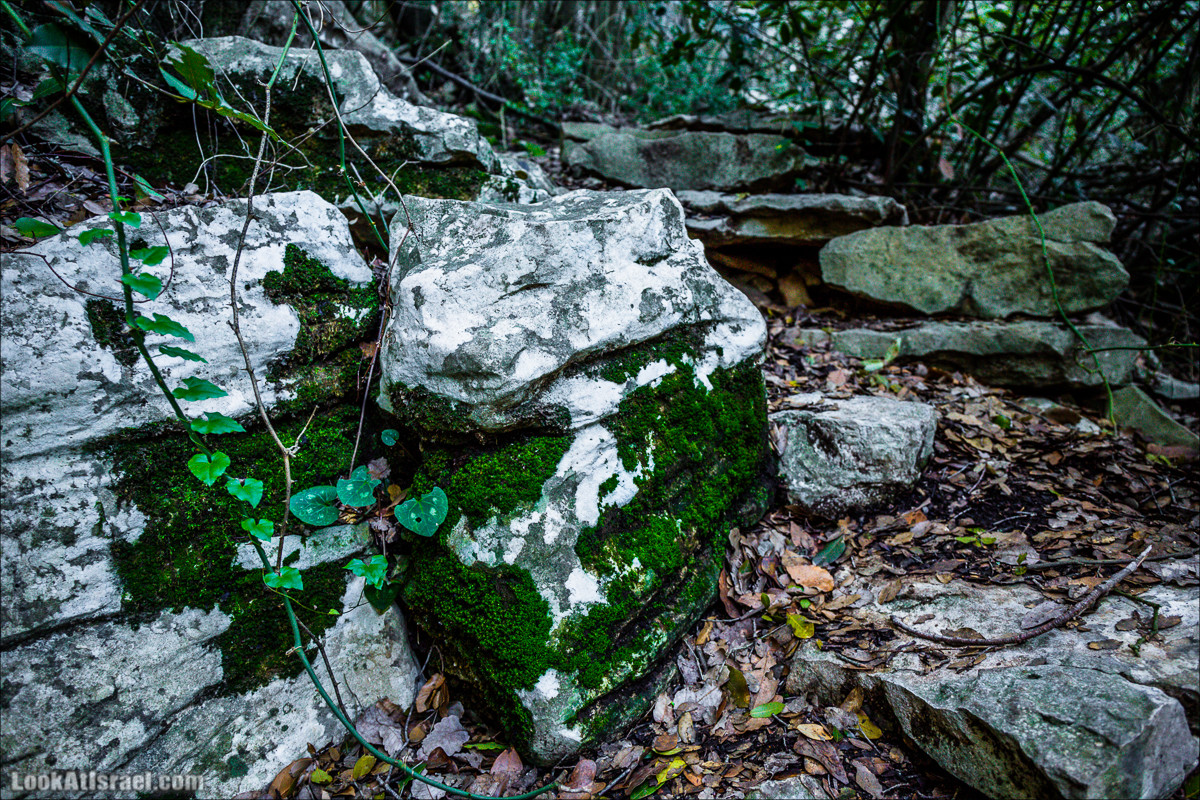 Гора Бетах и тропа Нормана | Betah mount and Norman's Trail | הר בטח ושביל נורמן | LookAtIsrael.com - Фото путешествия по Израилю