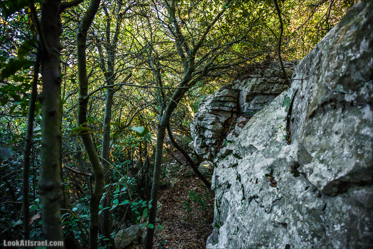 Гора Бетах и тропа Нормана | Betah mount and Norman's Trail | הר בטח ושביל נורמן | LookAtIsrael.com - Фото путешествия по Израилю