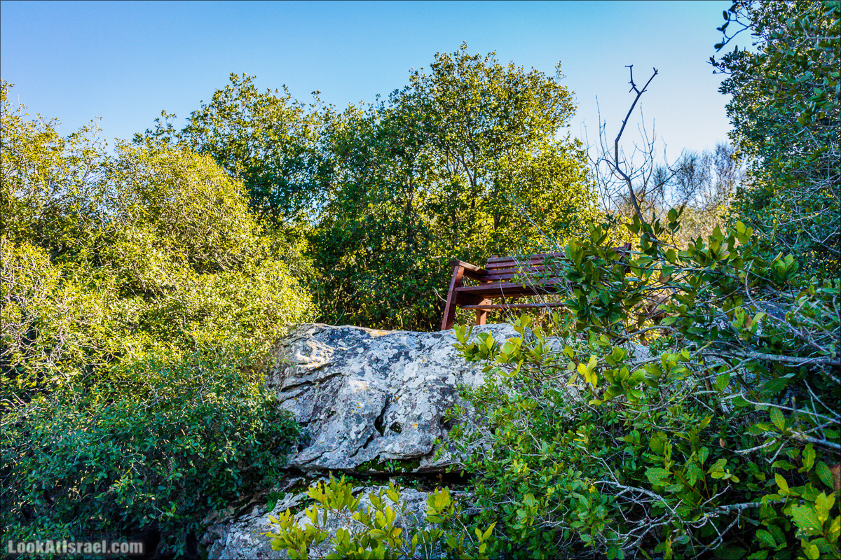 Гора Бетах и тропа Нормана | Betah mount and Norman's Trail | הר בטח ושביל נורמן | LookAtIsrael.com - Фото путешествия по Израилю