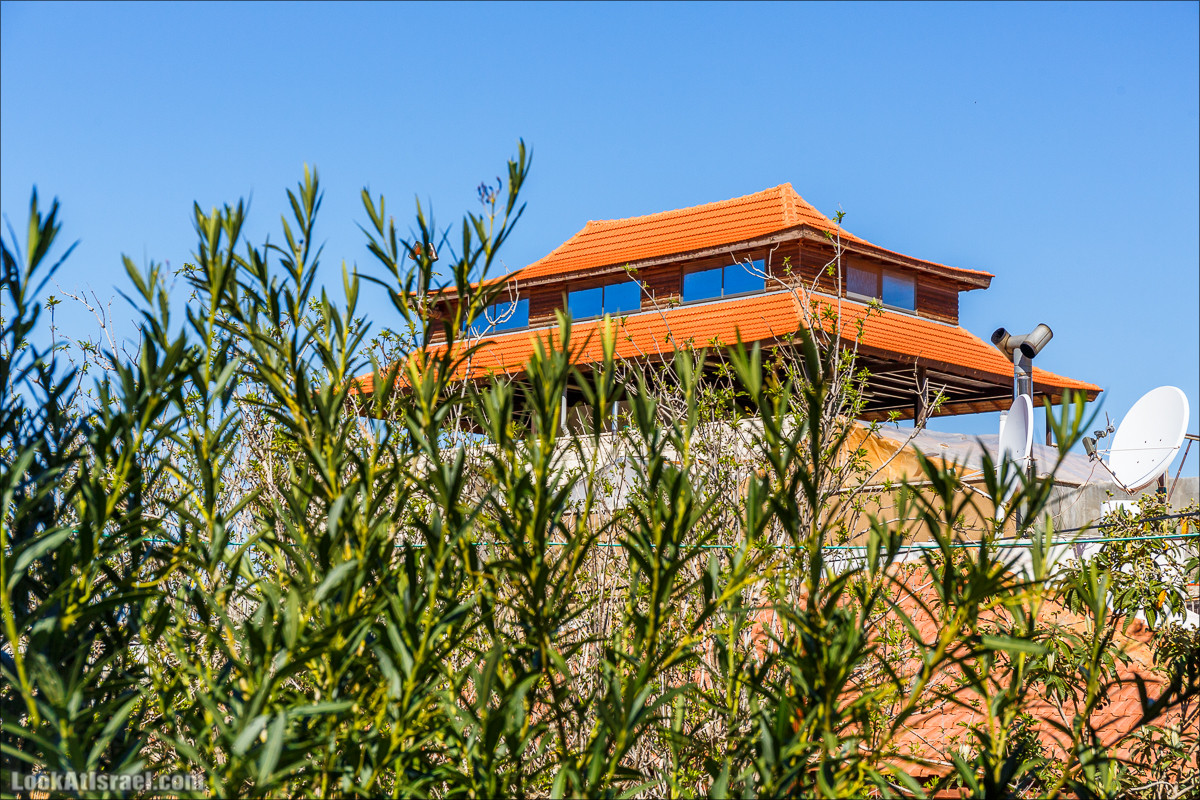 Кулинарно-рыночные прогулки по Таршихе | LookAtIsrael.com - Фото путешествия по Израилю