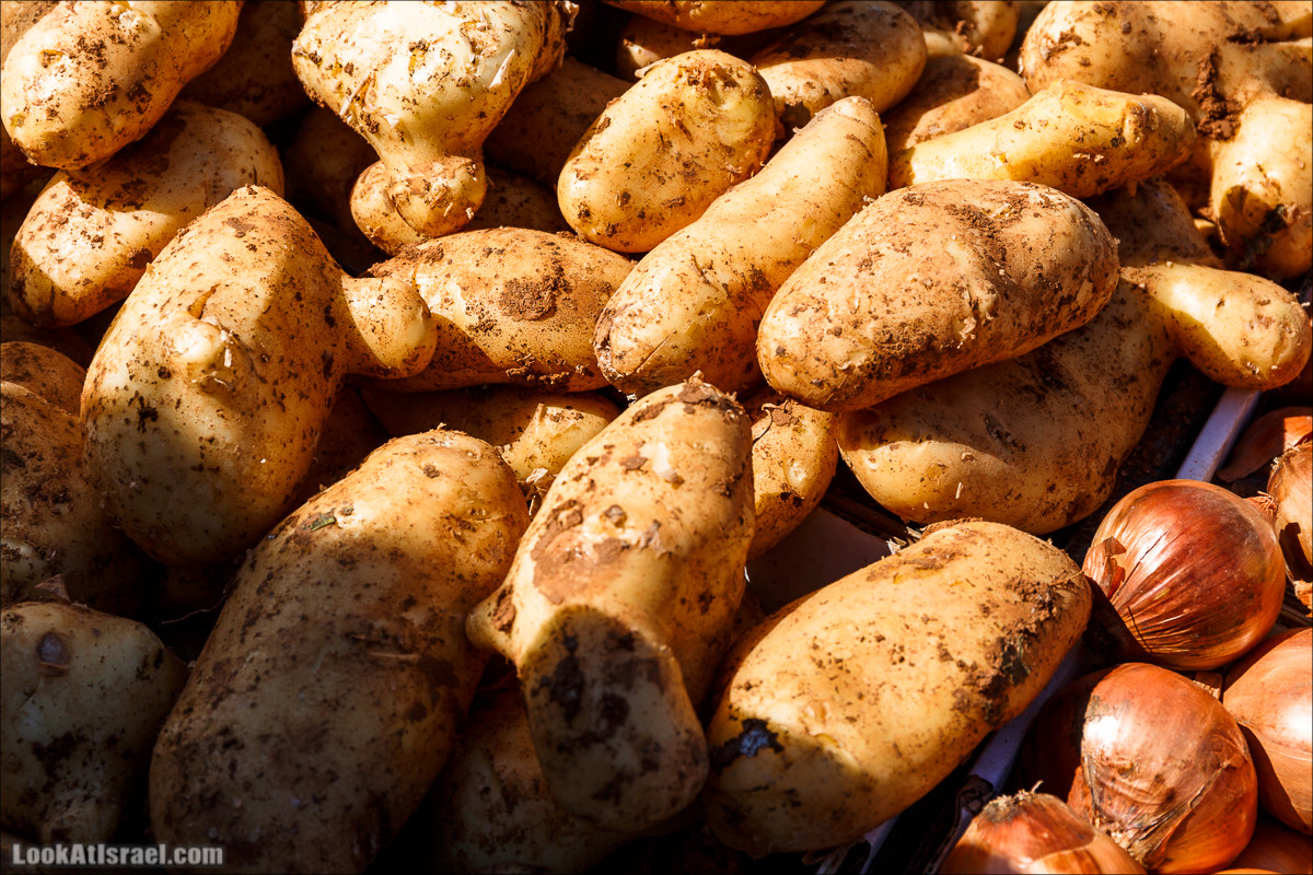 Кулинарно-рыночные прогулки по Таршихе | LookAtIsrael.com - Фото путешествия по Израилю