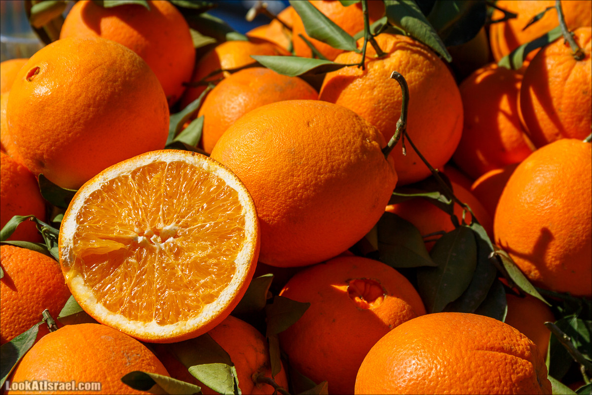 Кулинарно-рыночные прогулки по Таршихе | LookAtIsrael.com - Фото путешествия по Израилю