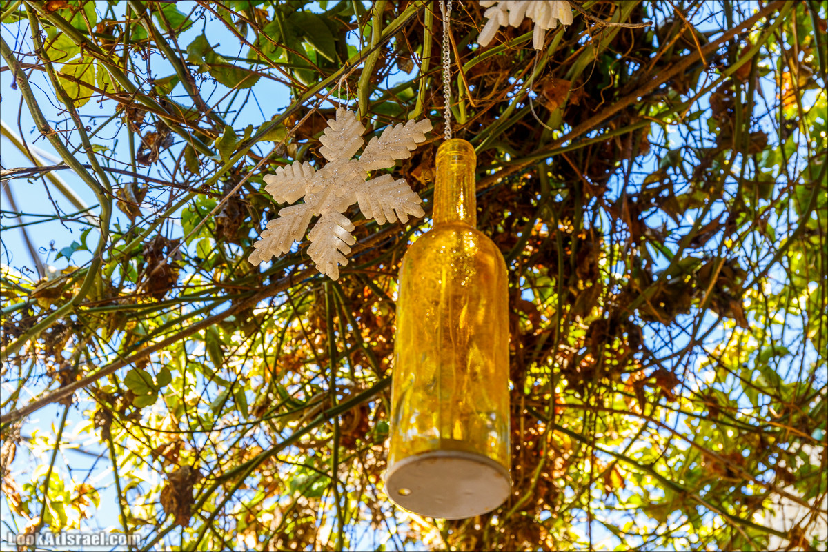 Кулинарно-рыночные прогулки по Таршихе | LookAtIsrael.com - Фото путешествия по Израилю