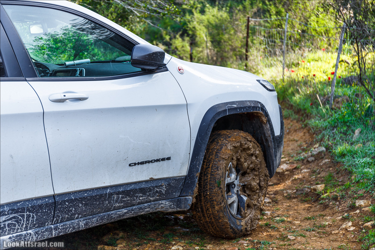 Зимнее путешествие на джипах по полям и лесам горы Кармель | LookAtIsrael.com - Фото путешествия по Израилю