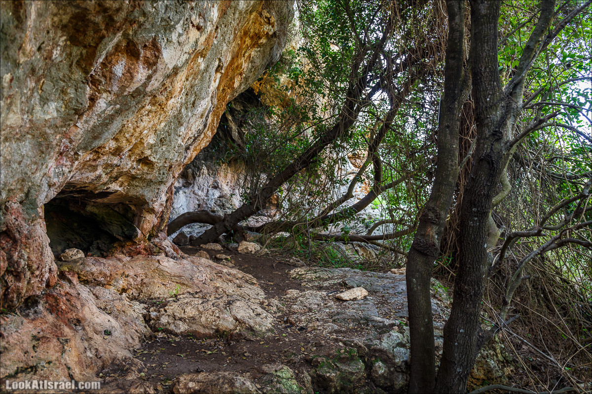 Зимнее путешествие на джипах по полям и лесам горы Кармель | LookAtIsrael.com - Фото путешествия по Израилю