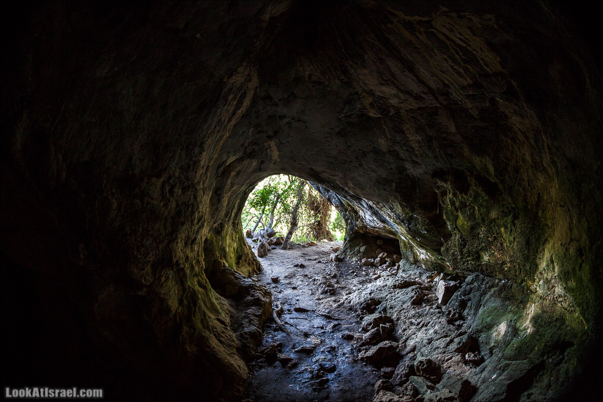 Зимнее путешествие на джипах по полям и лесам горы Кармель | LookAtIsrael.com - Фото путешествия по Израилю