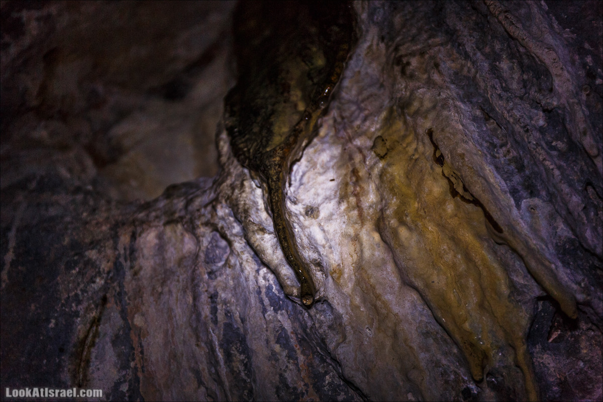 Зимнее путешествие на джипах по полям и лесам горы Кармель | LookAtIsrael.com - Фото путешествия по Израилю