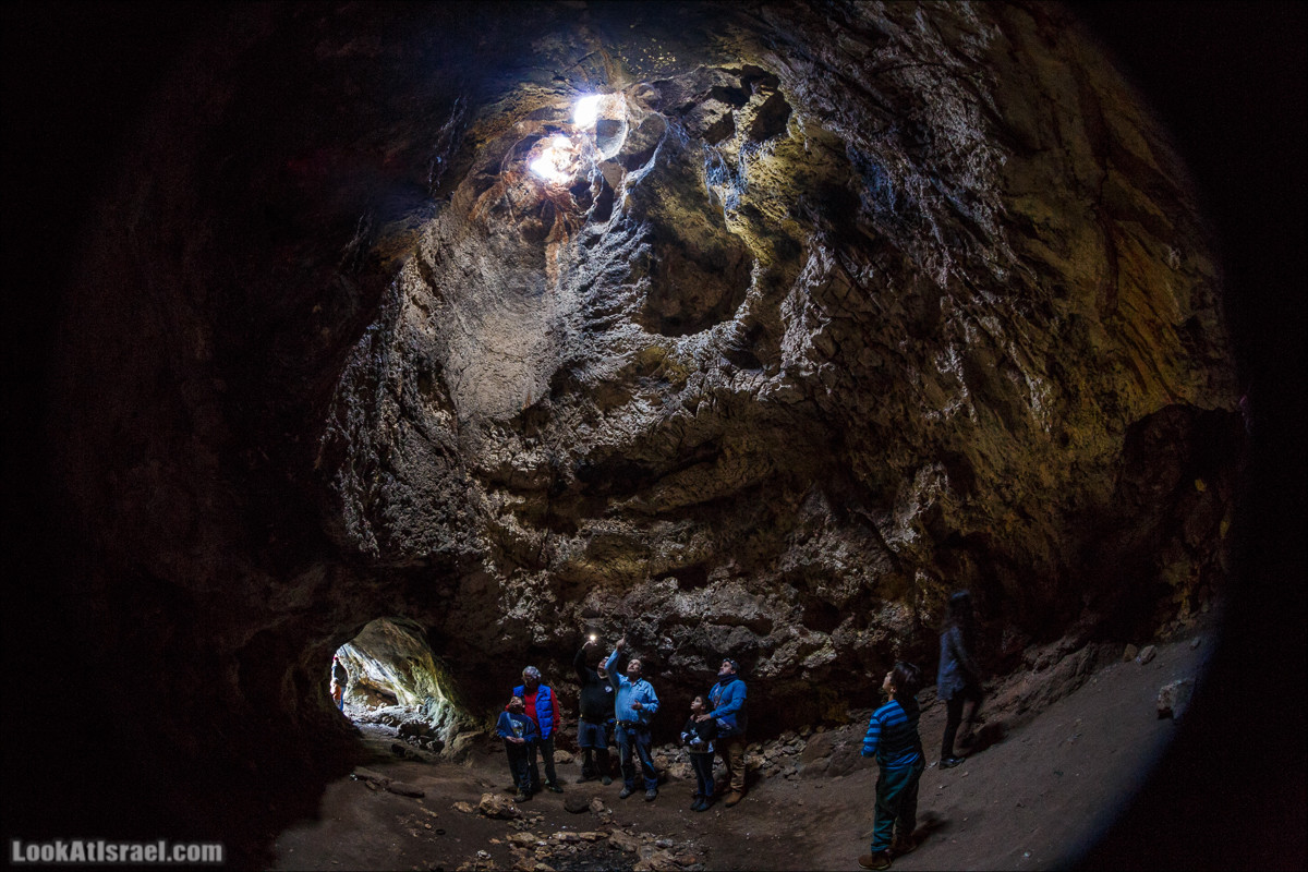 Зимнее путешествие на джипах по полям и лесам горы Кармель | LookAtIsrael.com - Фото путешествия по Израилю
