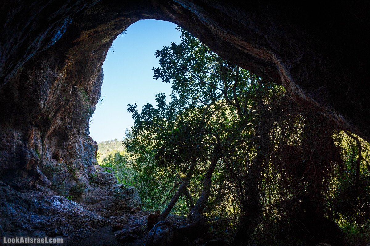 Зимнее путешествие на джипах по полям и лесам горы Кармель | LookAtIsrael.com - Фото путешествия по Израилю
