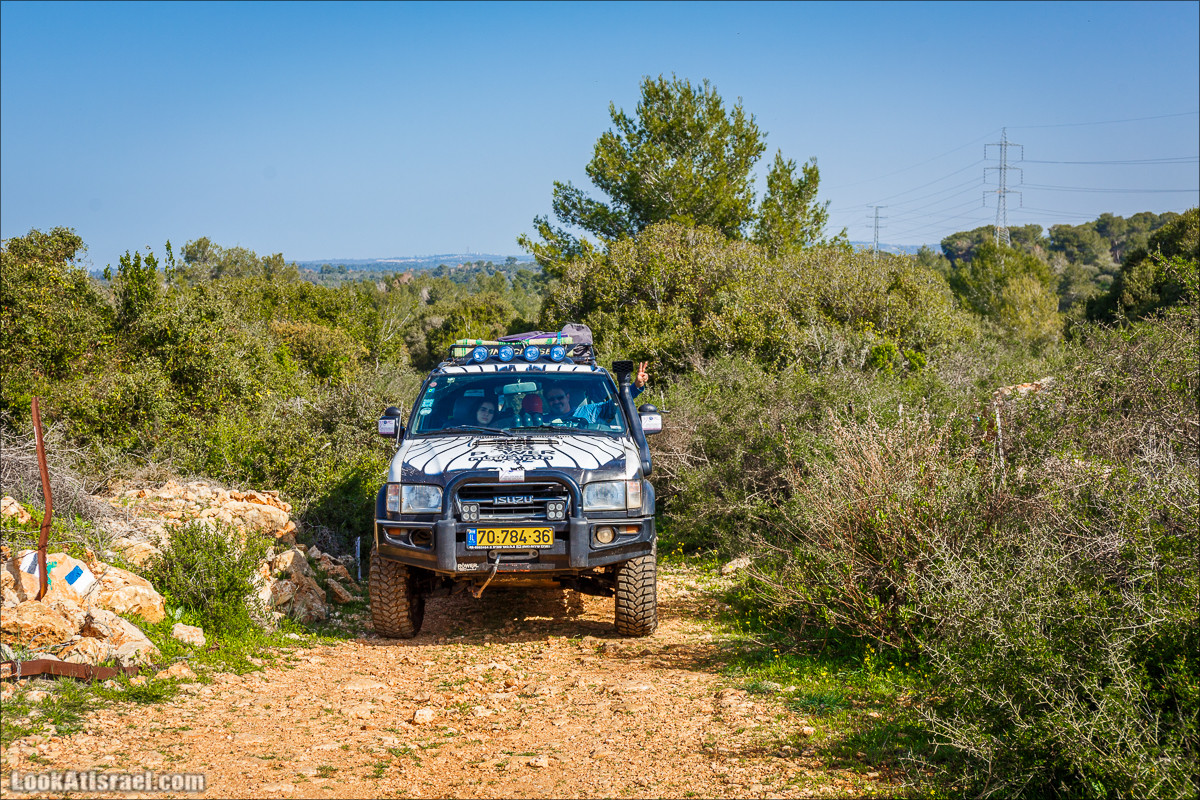 Зимнее путешествие на джипах по полям и лесам горы Кармель | LookAtIsrael.com - Фото путешествия по Израилю