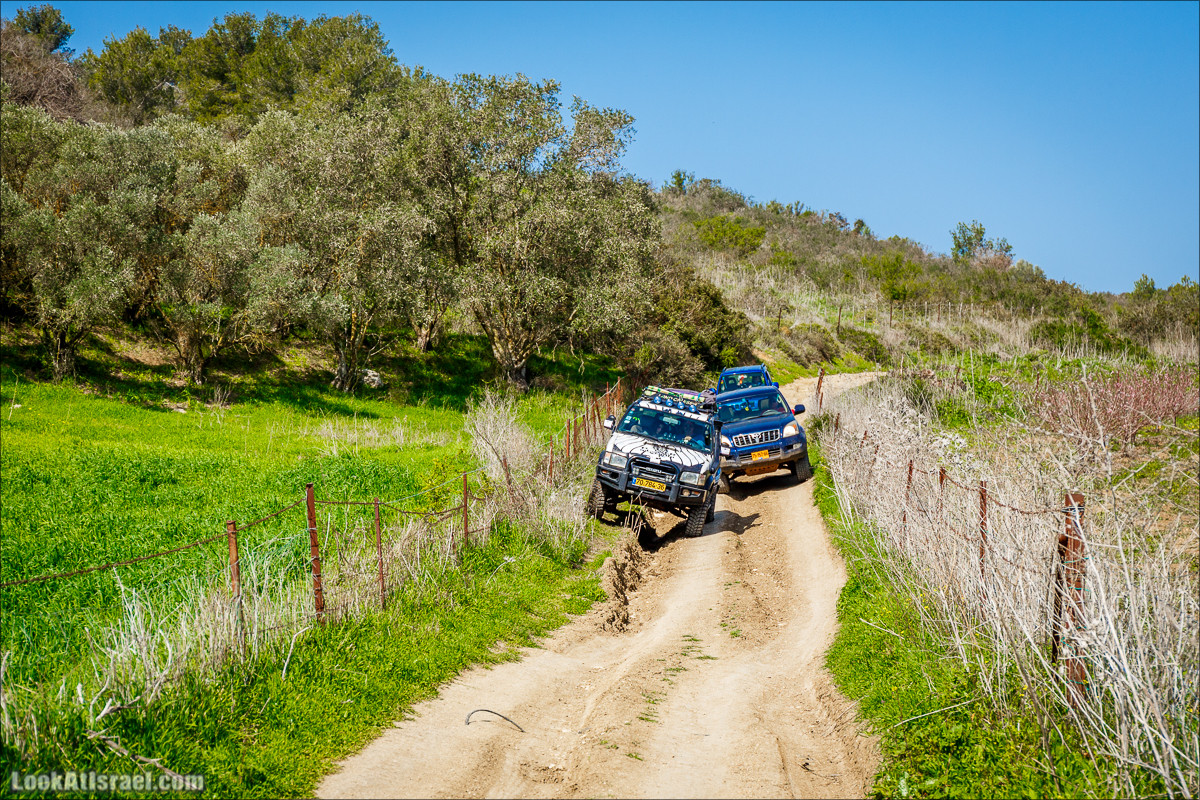 Зимнее путешествие на джипах по полям и лесам горы Кармель | LookAtIsrael.com - Фото путешествия по Израилю