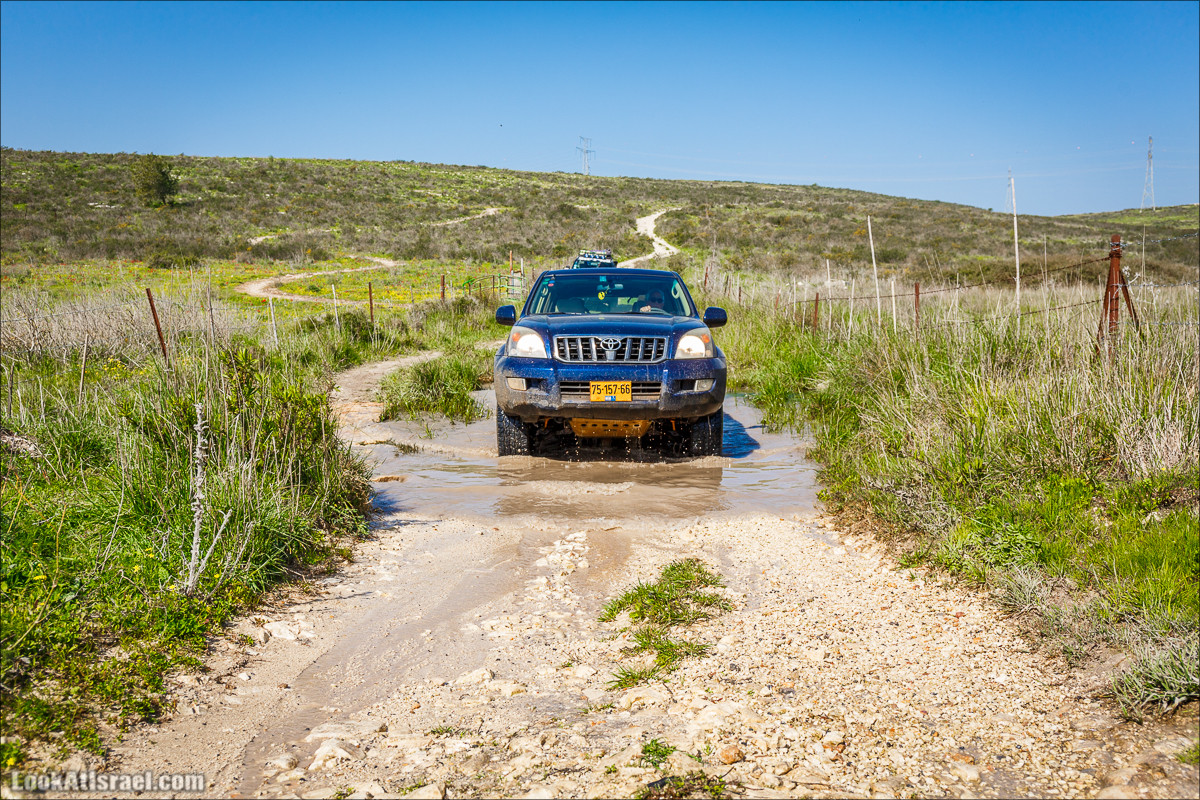 Зимнее путешествие на джипах по полям и лесам горы Кармель | LookAtIsrael.com - Фото путешествия по Израилю