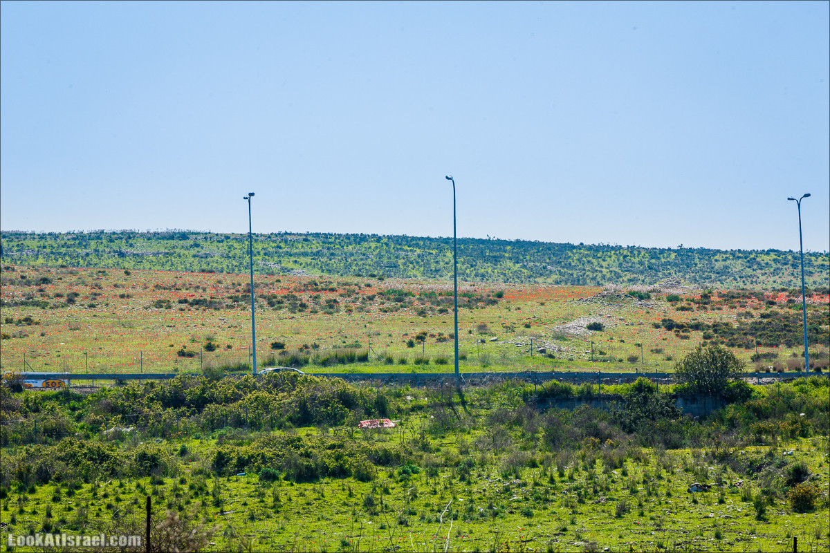 Зимнее путешествие на джипах по полям и лесам горы Кармель | LookAtIsrael.com - Фото путешествия по Израилю