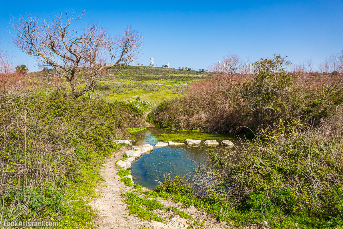 Зимнее путешествие на джипах по полям и лесам горы Кармель | LookAtIsrael.com - Фото путешествия по Израилю