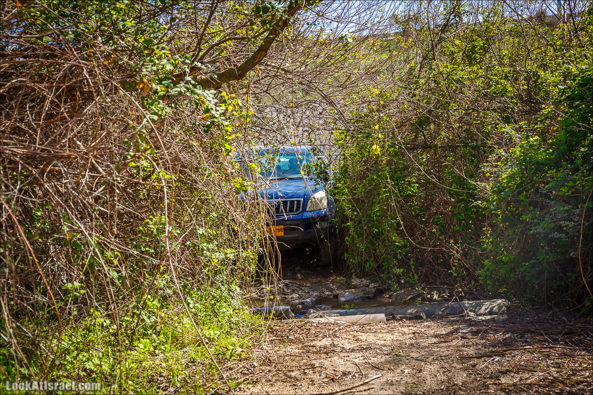 Зимнее путешествие на джипах по полям и лесам горы Кармель | LookAtIsrael.com - Фото путешествия по Израилю
