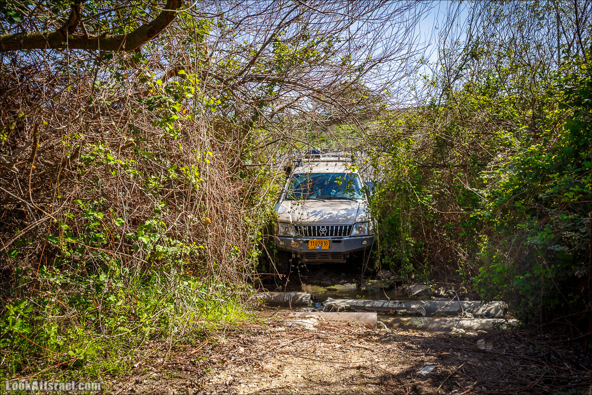 Зимнее путешествие на джипах по полям и лесам горы Кармель | LookAtIsrael.com - Фото путешествия по Израилю