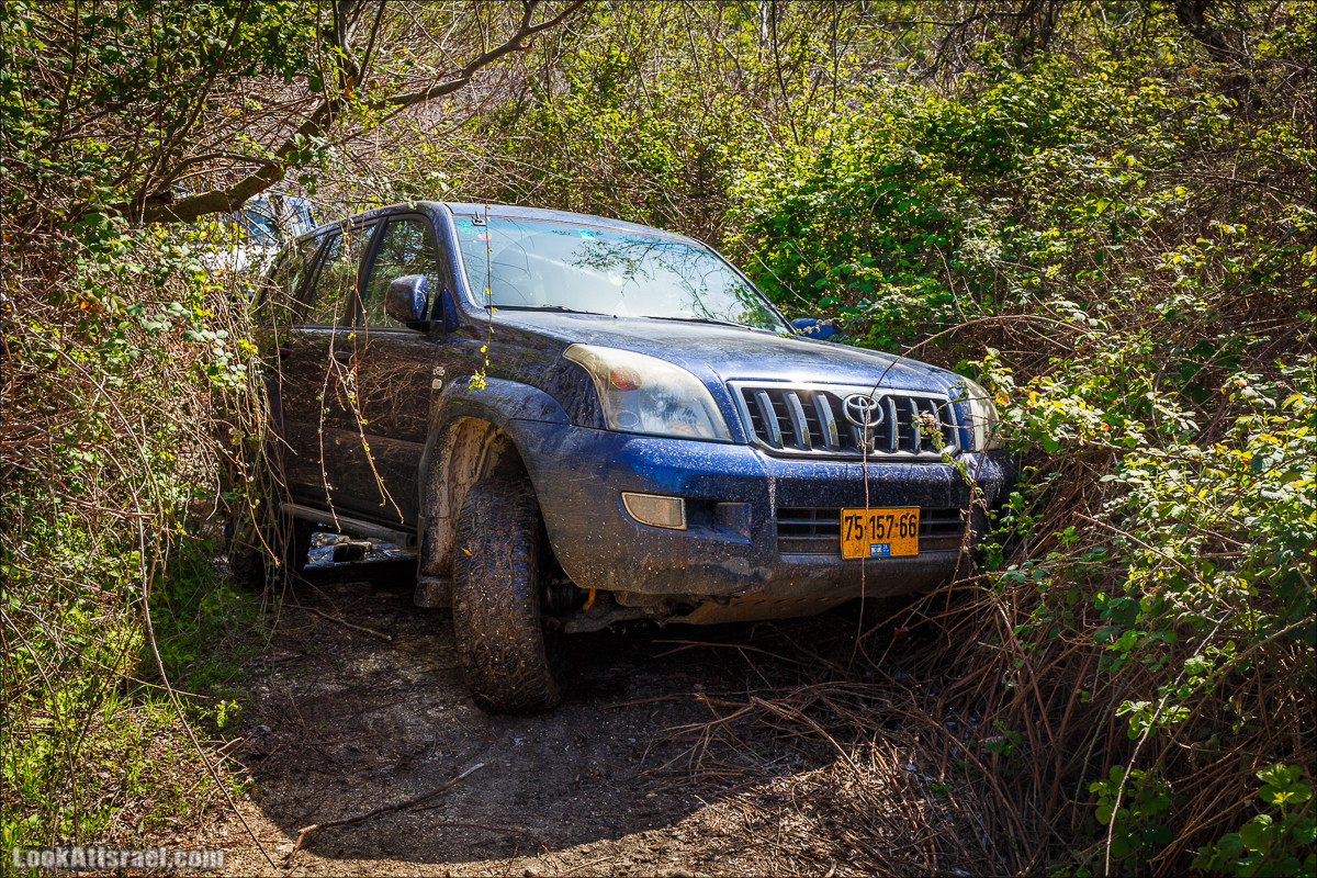 Зимнее путешествие на джипах по полям и лесам горы Кармель | LookAtIsrael.com - Фото путешествия по Израилю
