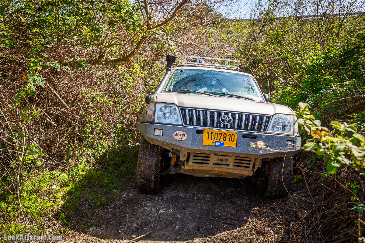 Зимнее путешествие на джипах по полям и лесам горы Кармель | LookAtIsrael.com - Фото путешествия по Израилю