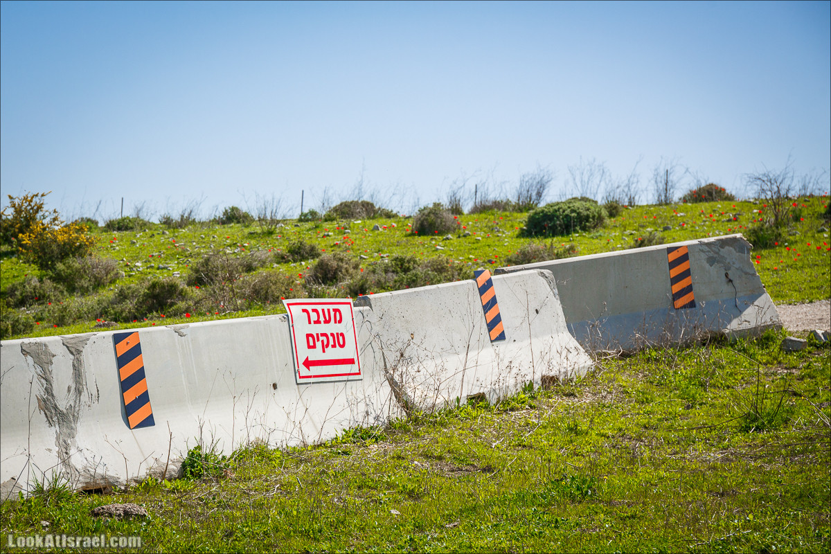 Зимнее путешествие на джипах по полям и лесам горы Кармель | LookAtIsrael.com - Фото путешествия по Израилю