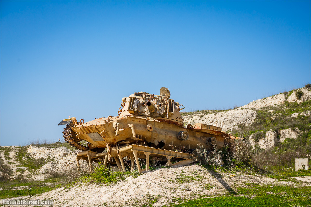 Зимнее путешествие на джипах по полям и лесам горы Кармель | LookAtIsrael.com - Фото путешествия по Израилю