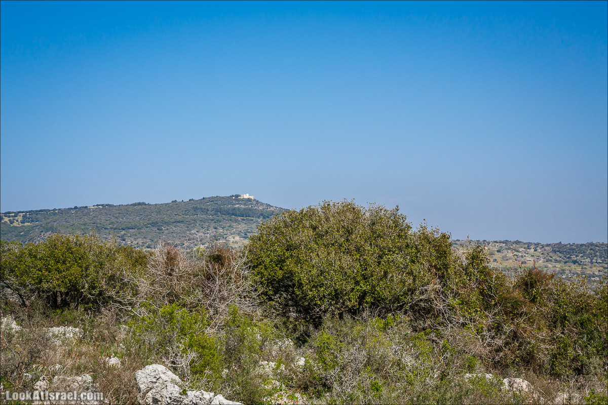 Зимнее путешествие на джипах по полям и лесам горы Кармель | LookAtIsrael.com - Фото путешествия по Израилю