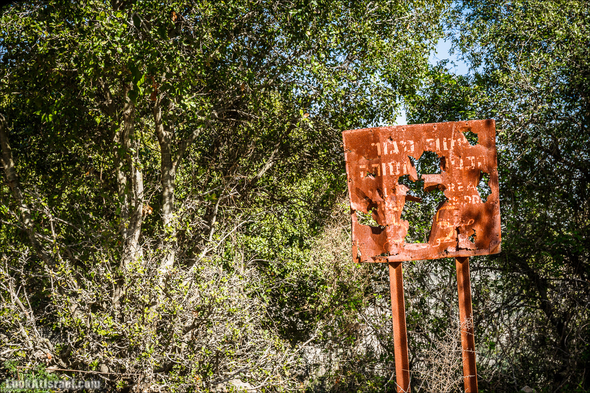 Зимнее путешествие на джипах по полям и лесам горы Кармель | LookAtIsrael.com - Фото путешествия по Израилю