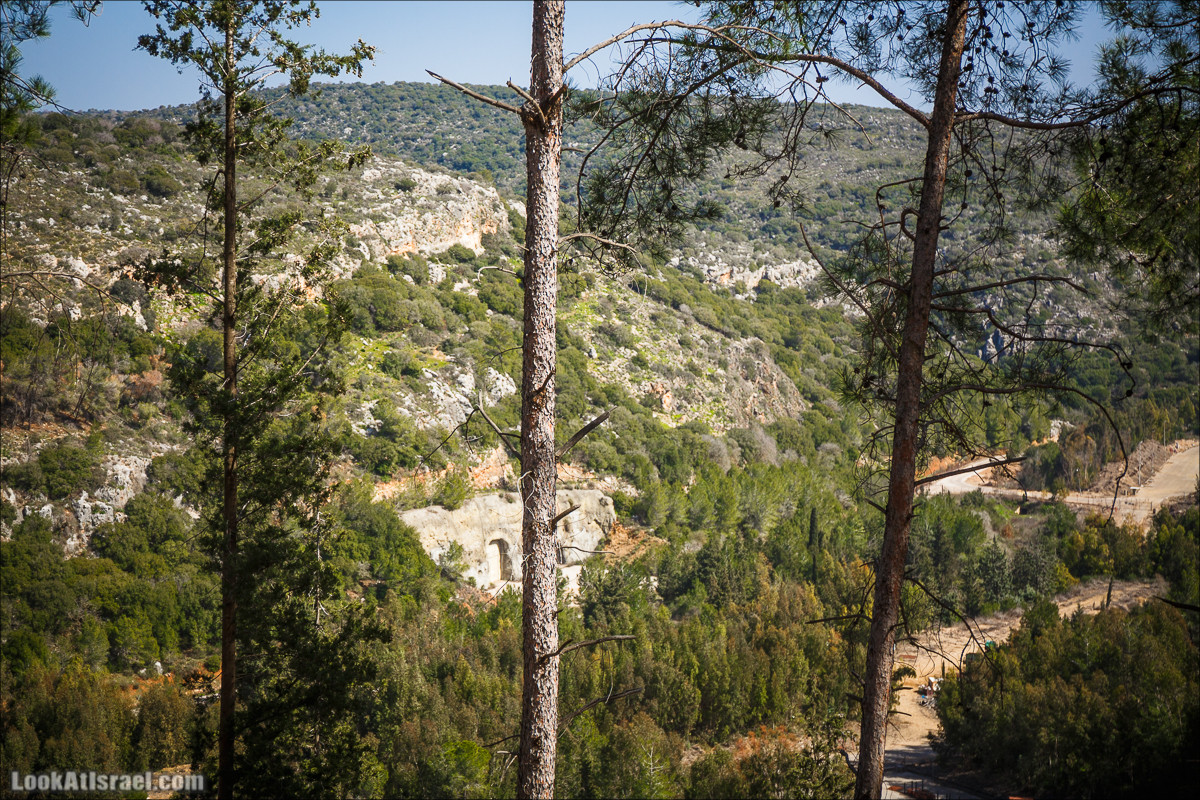 Зимнее путешествие на джипах по полям и лесам горы Кармель | LookAtIsrael.com - Фото путешествия по Израилю