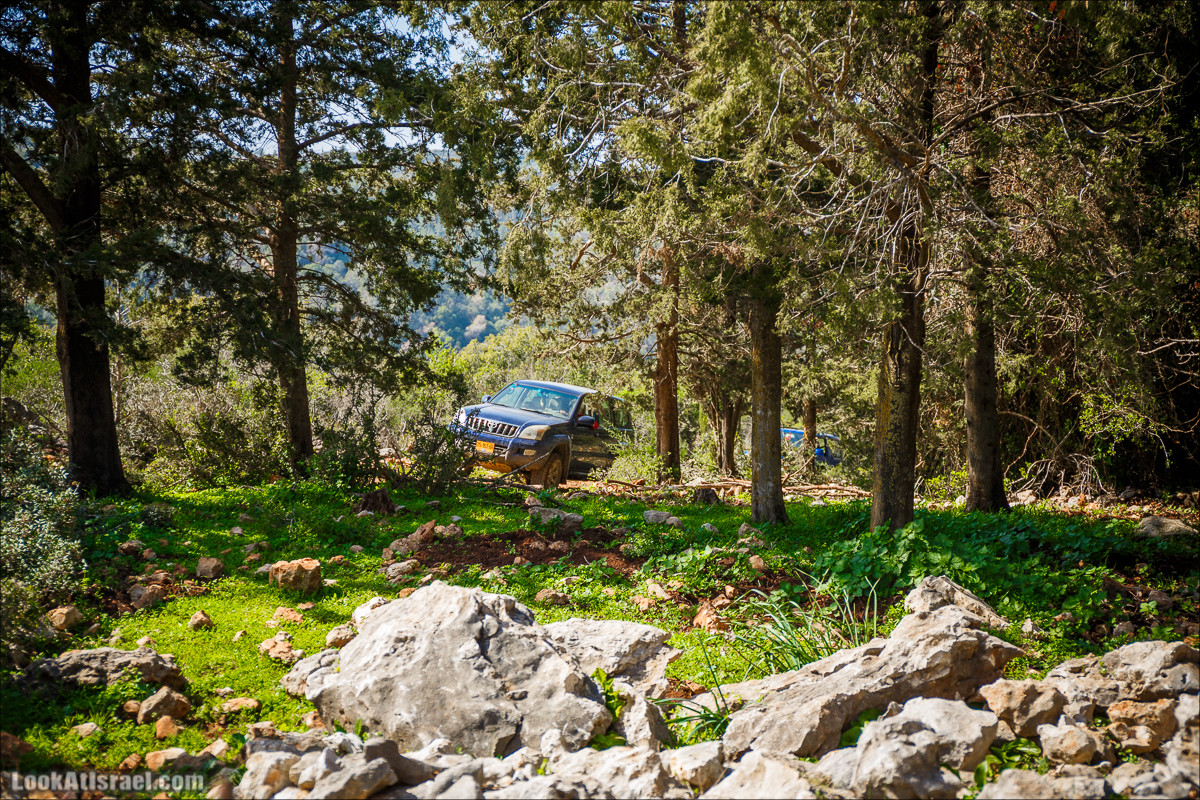 Зимнее путешествие на джипах по полям и лесам горы Кармель | LookAtIsrael.com - Фото путешествия по Израилю