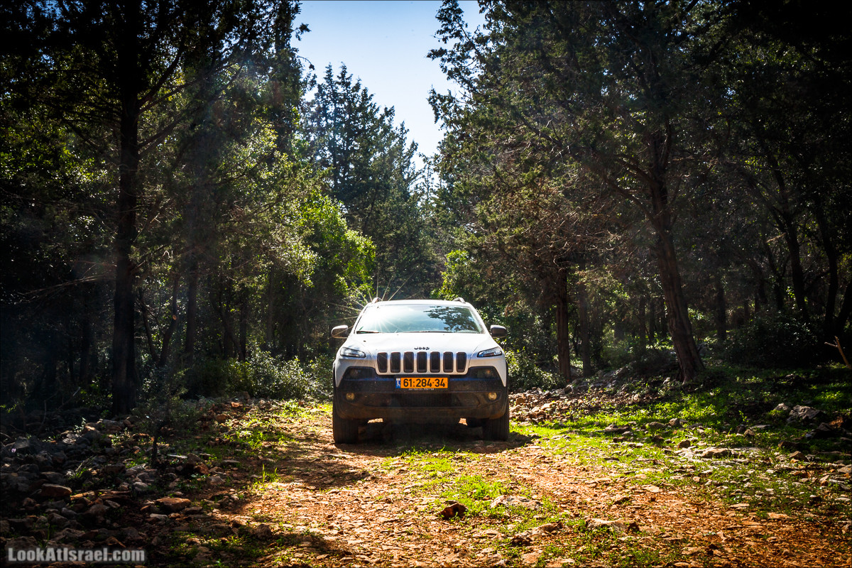 Зимнее путешествие на джипах по полям и лесам горы Кармель | LookAtIsrael.com - Фото путешествия по Израилю