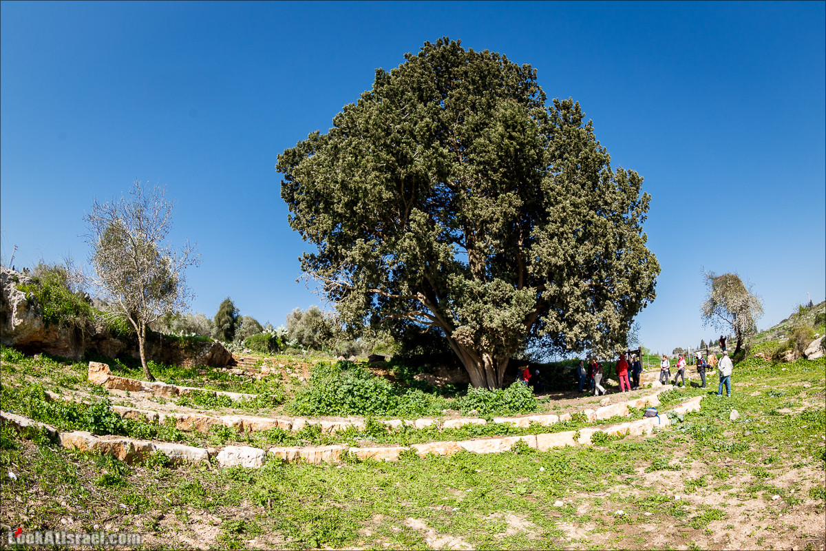 Субботники в Галилее | LookAtIsrael.com - Фото путешествия по Израилю