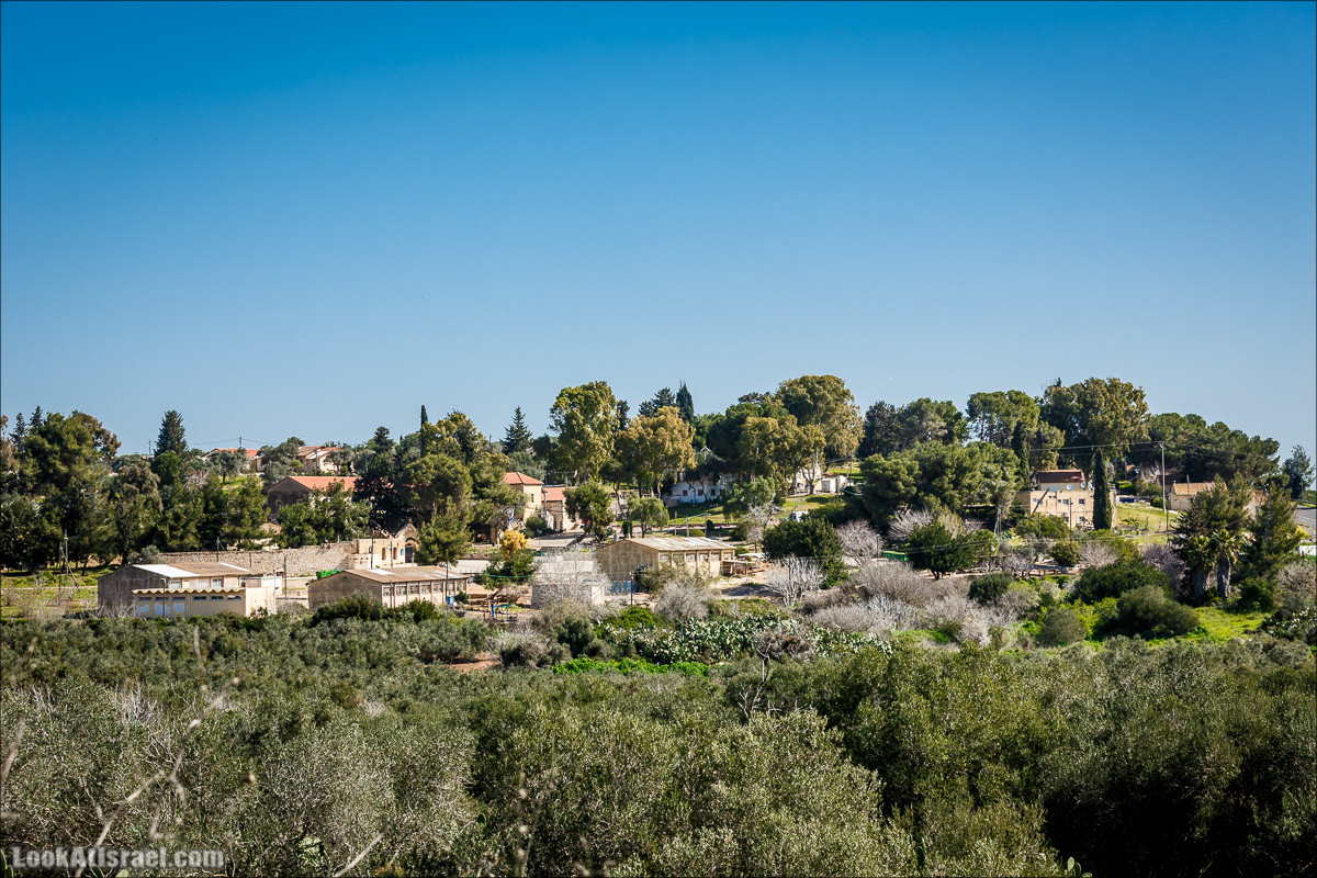 Субботники в Галилее | LookAtIsrael.com - Фото путешествия по Израилю