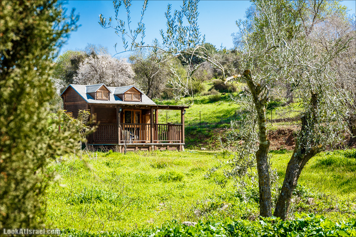 Субботники в Галилее | LookAtIsrael.com - Фото путешествия по Израилю