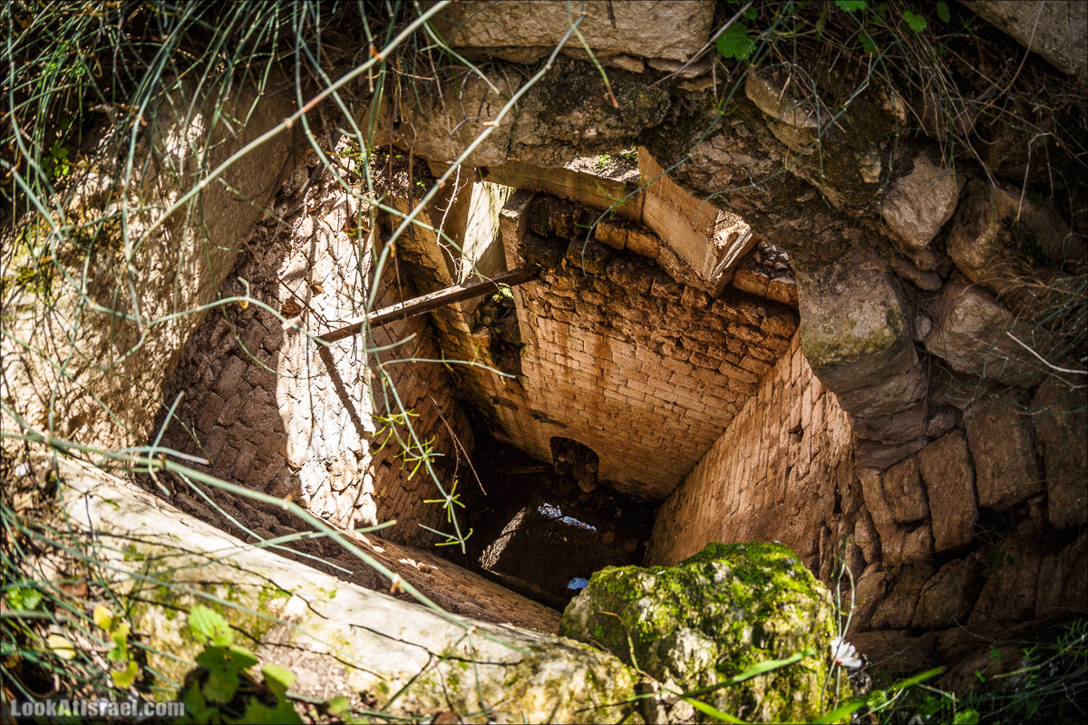 Субботники в Галилее | LookAtIsrael.com - Фото путешествия по Израилю