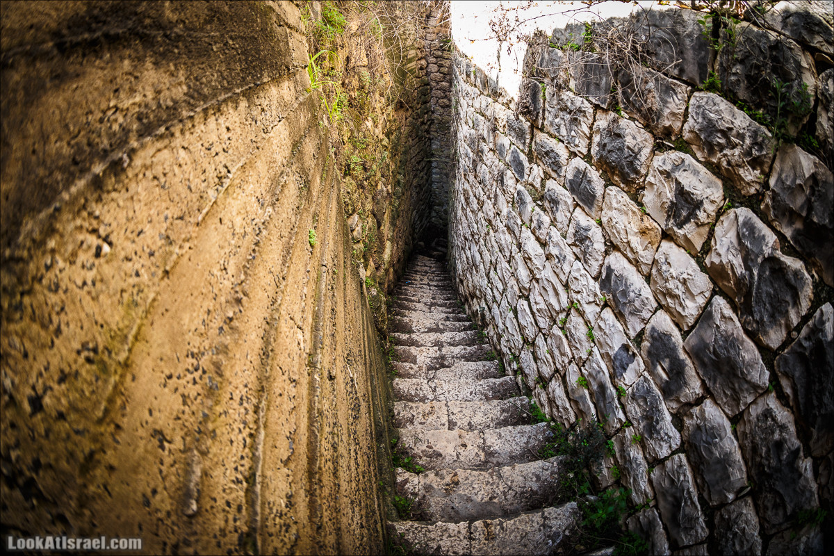 Субботники в Галилее | LookAtIsrael.com - Фото путешествия по Израилю