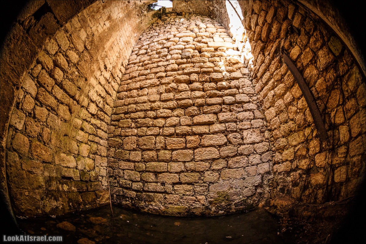 Субботники в Галилее | LookAtIsrael.com - Фото путешествия по Израилю