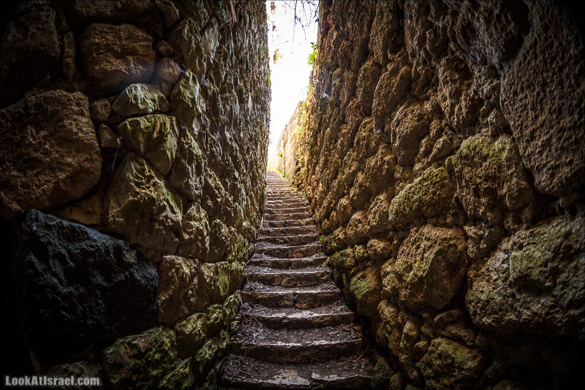 Субботники в Галилее | LookAtIsrael.com - Фото путешествия по Израилю