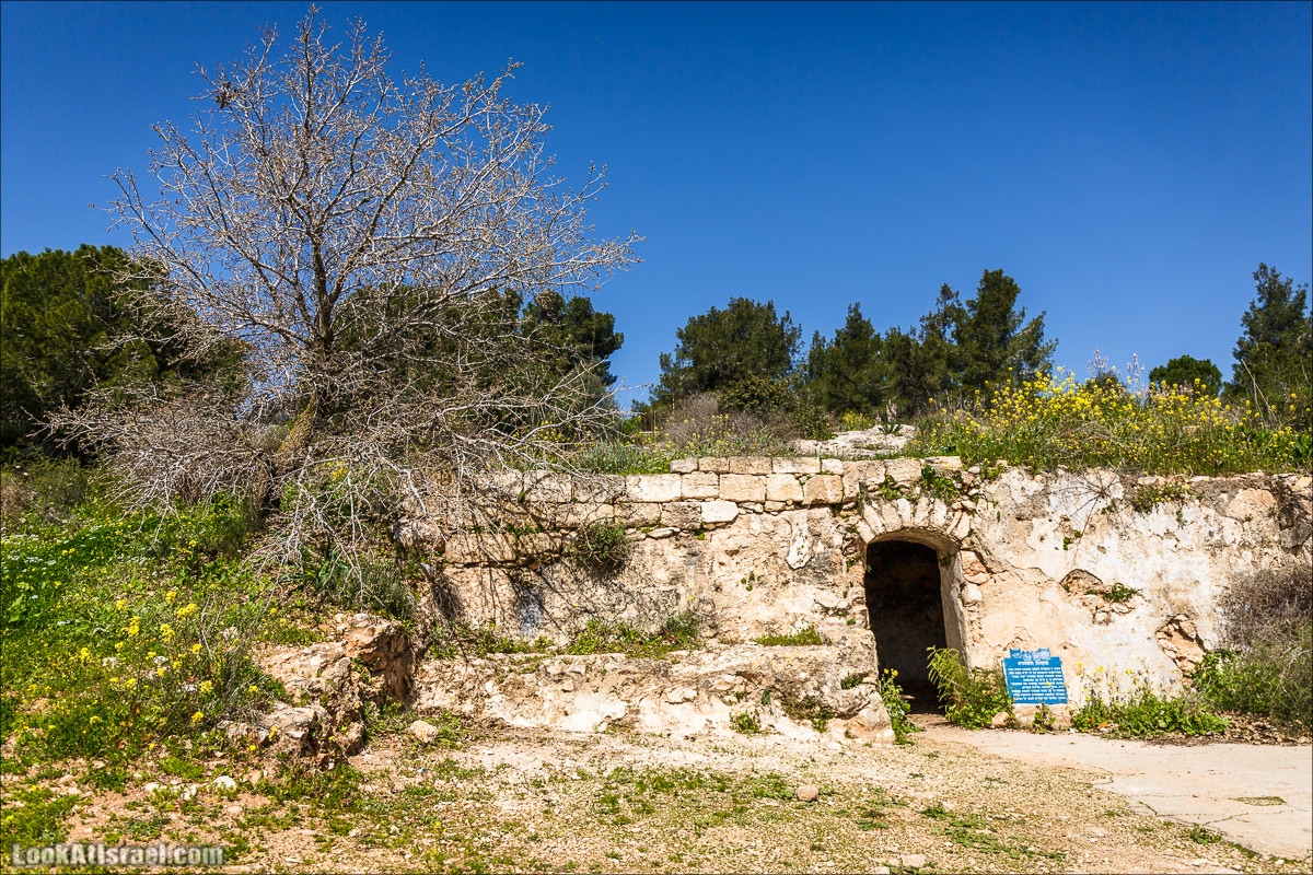Субботники в Галилее | LookAtIsrael.com - Фото путешествия по Израилю