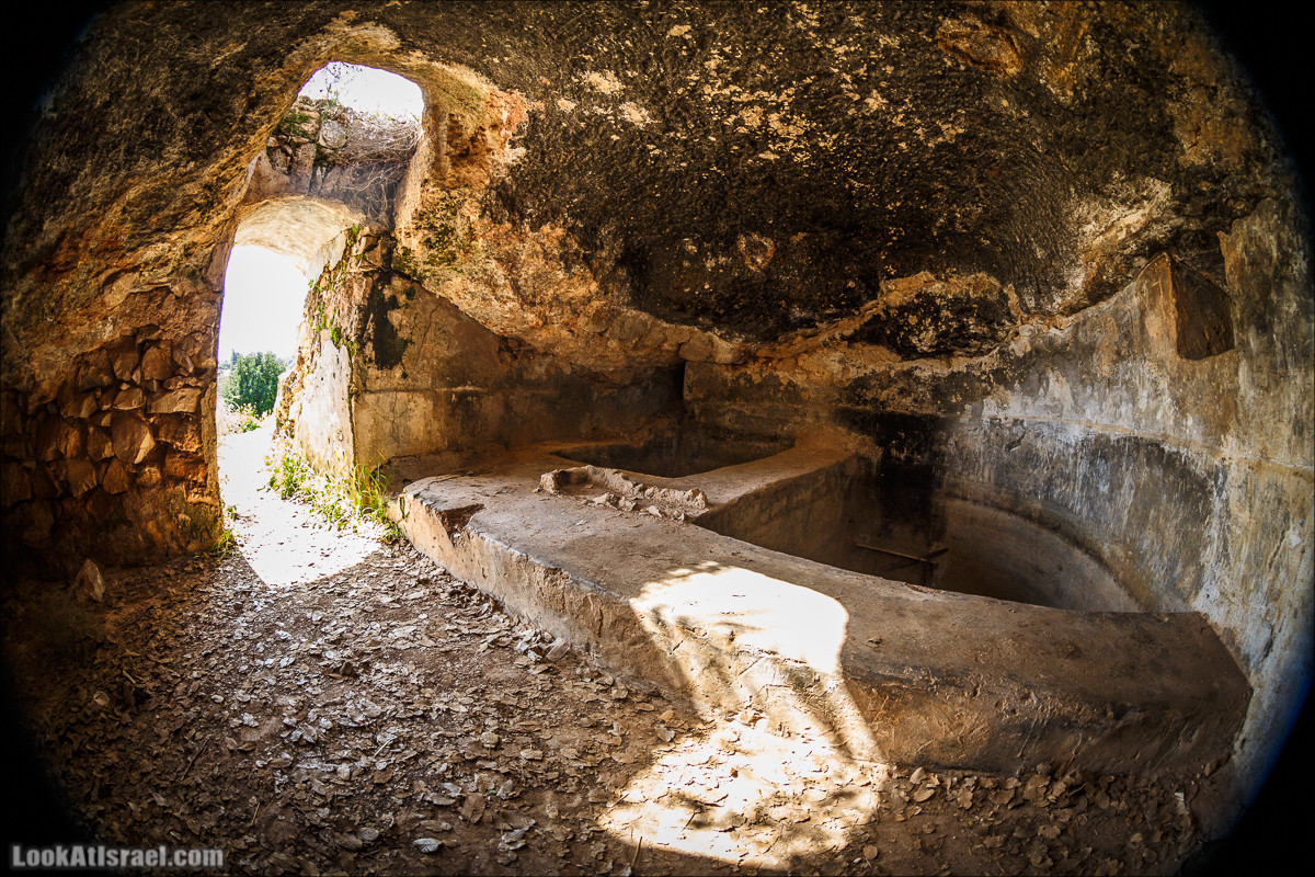 Субботники в Галилее | LookAtIsrael.com - Фото путешествия по Израилю