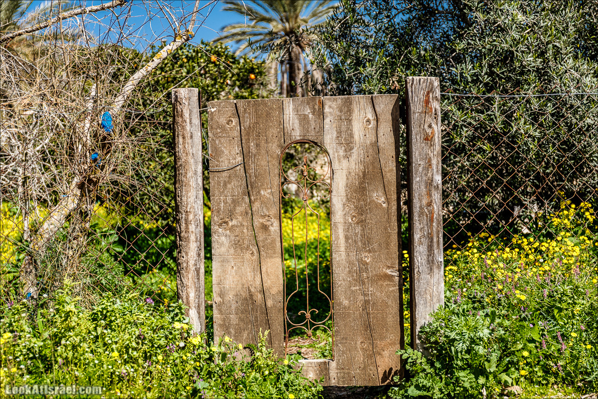 Субботники в Галилее | LookAtIsrael.com - Фото путешествия по Израилю