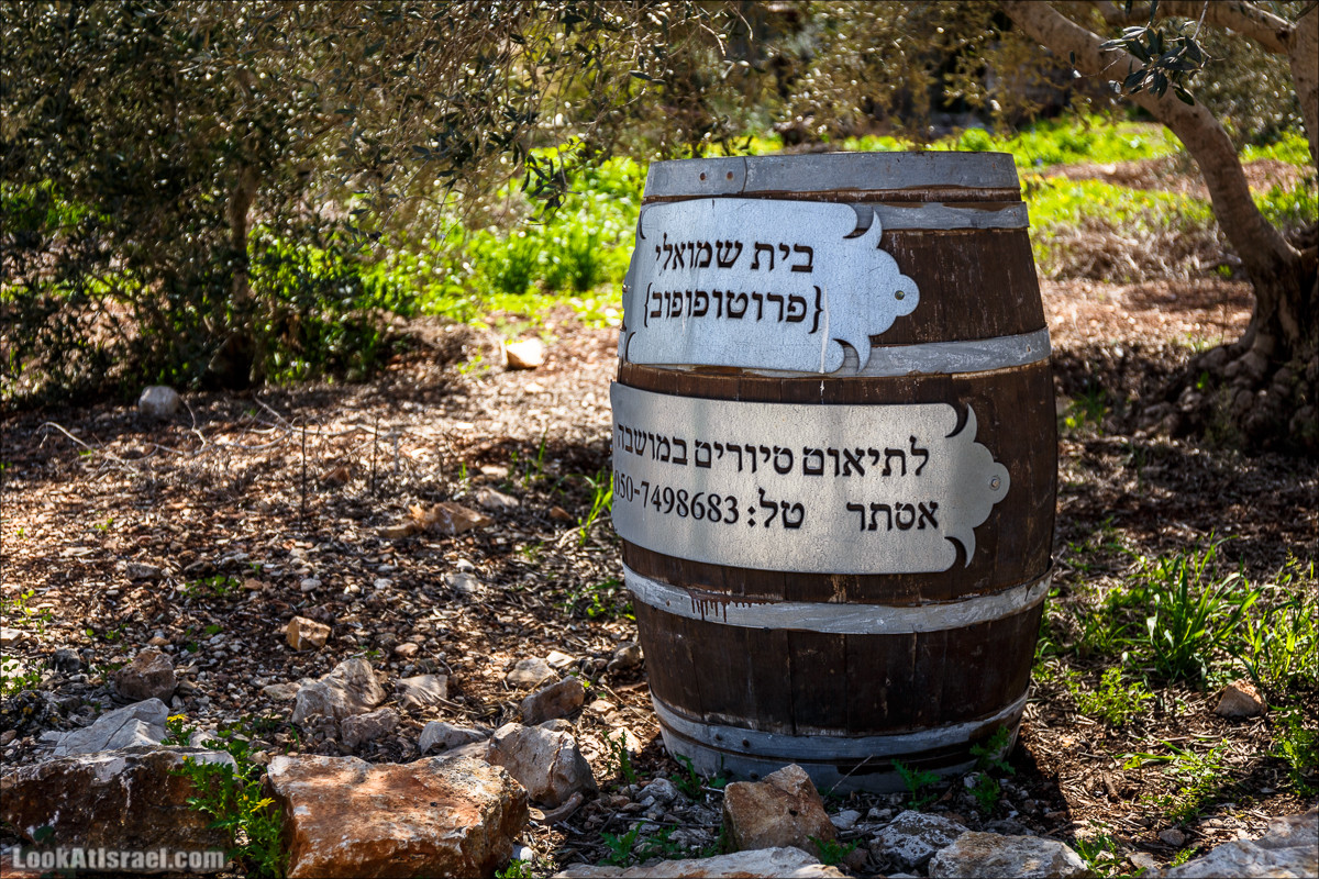 Субботники в Галилее | LookAtIsrael.com - Фото путешествия по Израилю