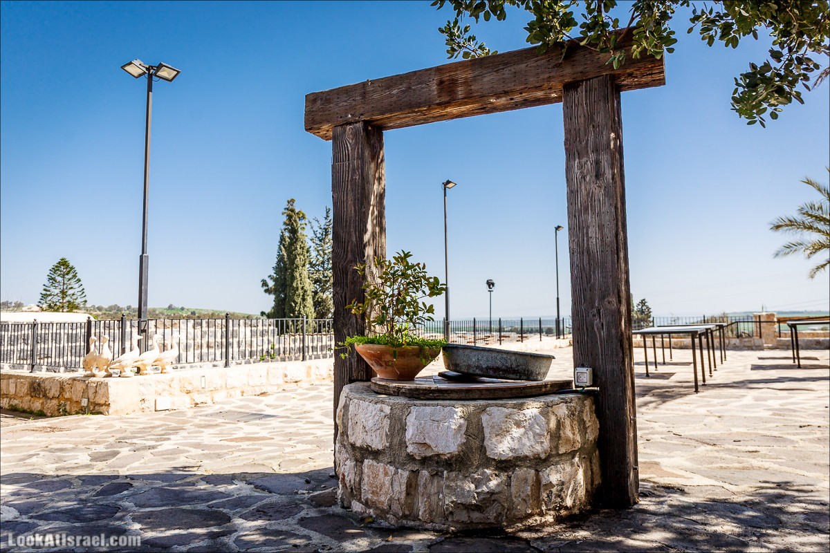 Субботники в Галилее | LookAtIsrael.com - Фото путешествия по Израилю